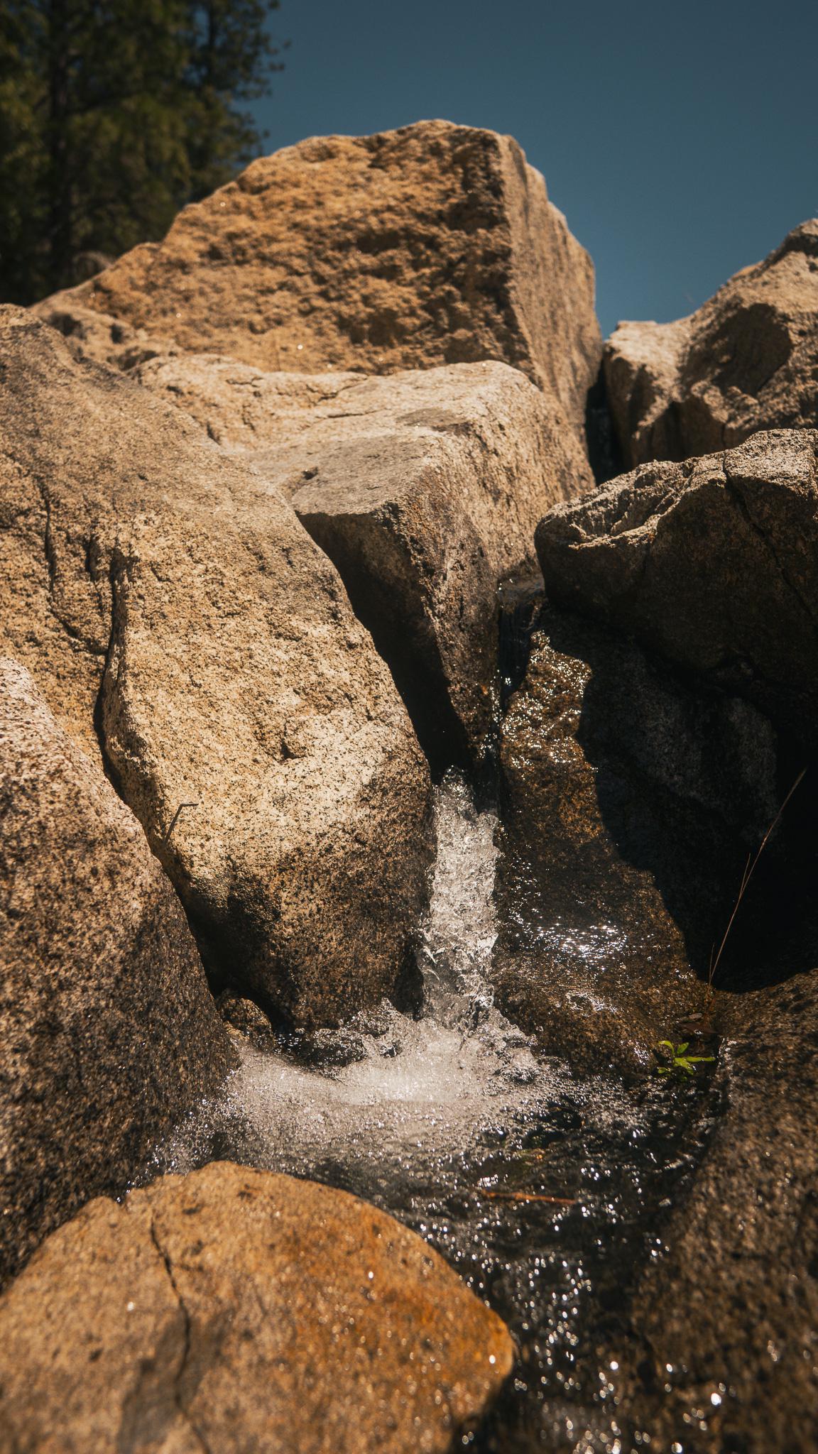 _DSC6828.jpg