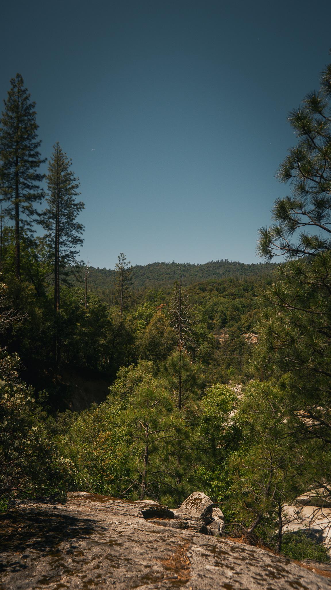 _DSC6852.jpg