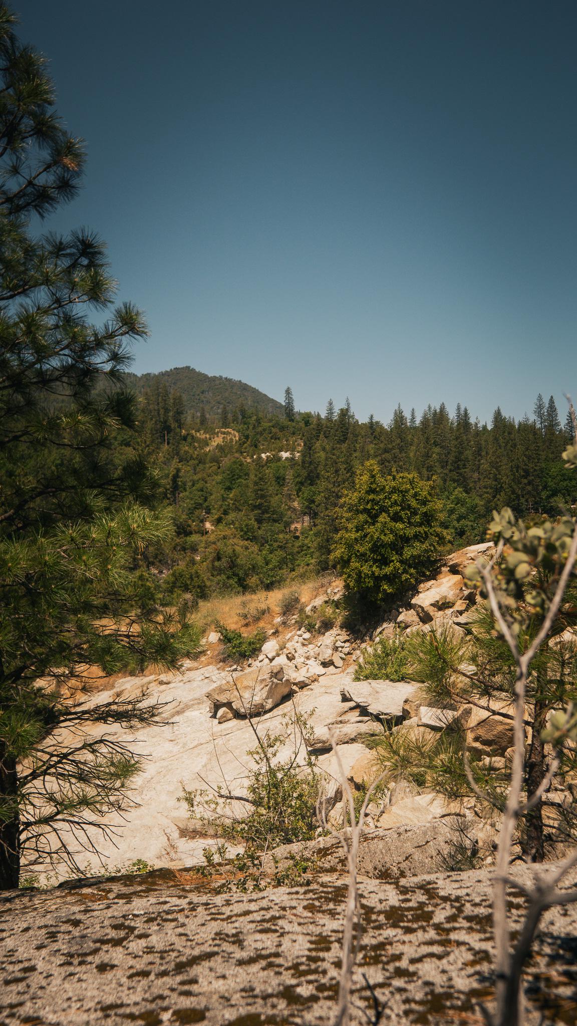_DSC6855.jpg