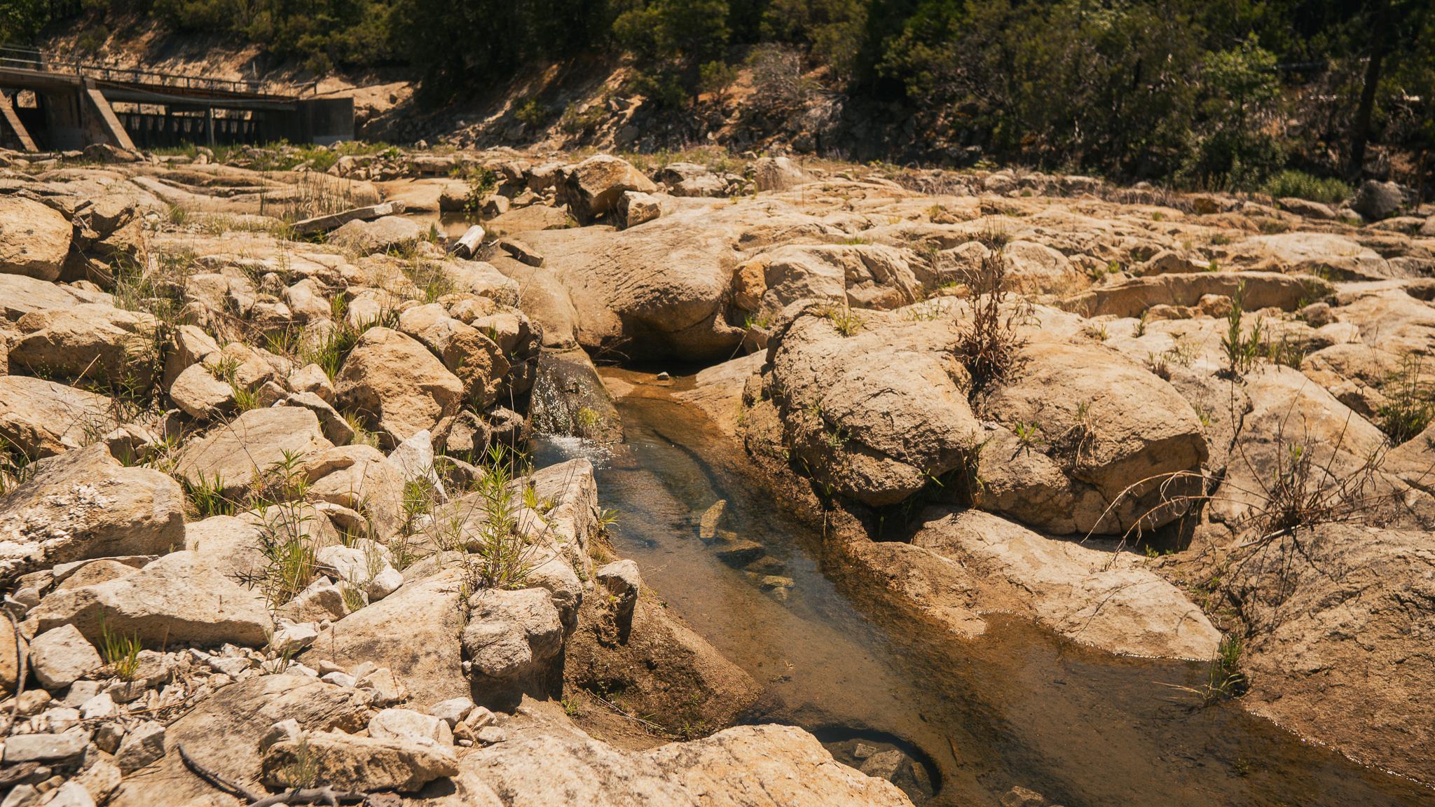 _DSC6886.jpg